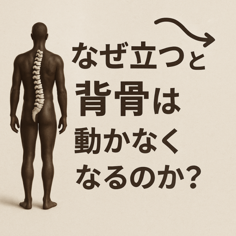 なぜ立つと背骨が動かなくなるのか？──答えは“重力との付き合い方”にあった